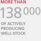 138 000 Thousand of actively producing well-stock